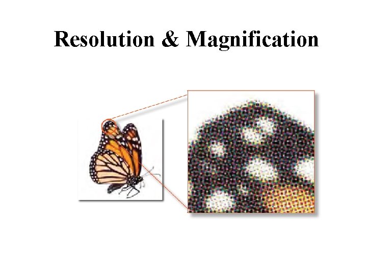 Resolution and Magnification By DR Tarek Atia Microscope