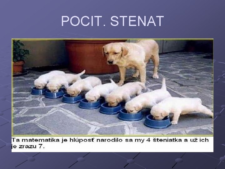 POCIT. STENAT 