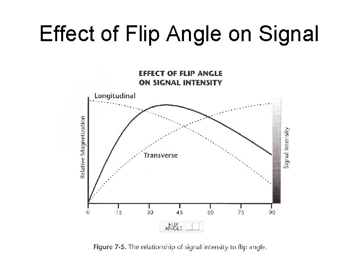 Effect of Flip Angle on Signal 