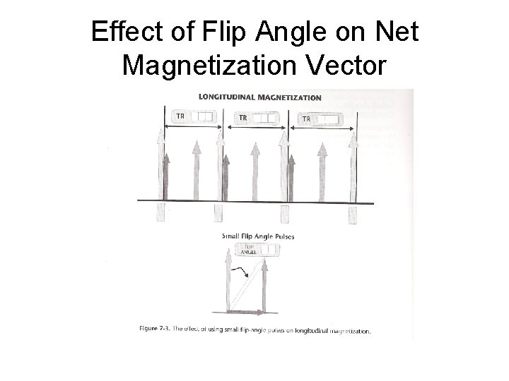 Effect of Flip Angle on Net Magnetization Vector 