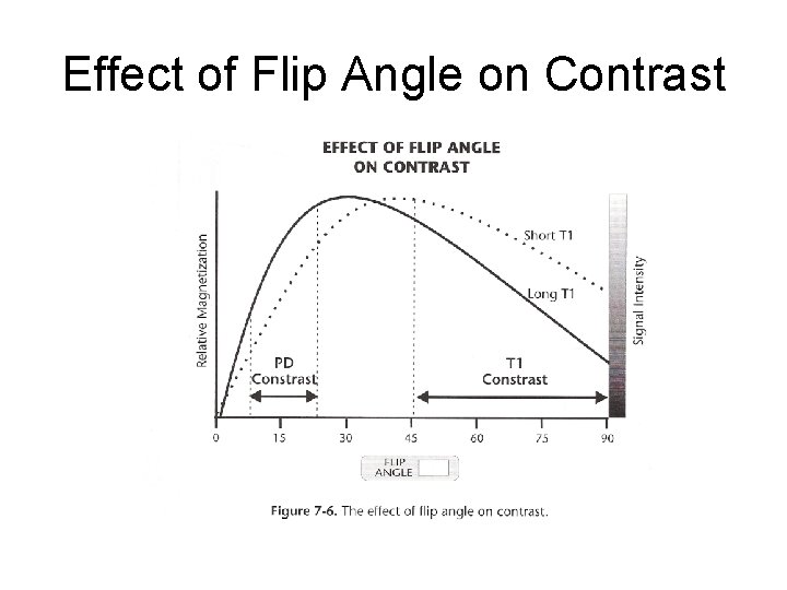 Effect of Flip Angle on Contrast 