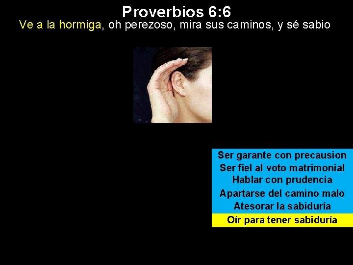 Proverbios 6: 6 Ve a la hormiga, oh perezoso, mira sus caminos, y sé