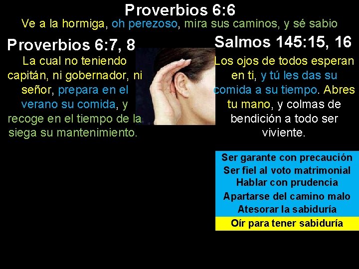 Proverbios 6: 6 Ve a la hormiga, oh perezoso, mira sus caminos, y sé