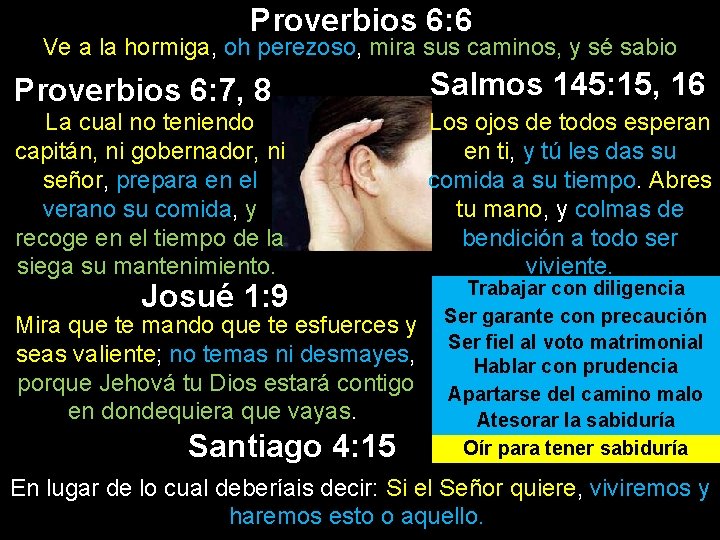 Proverbios 6: 6 Ve a la hormiga, oh perezoso, mira sus caminos, y sé