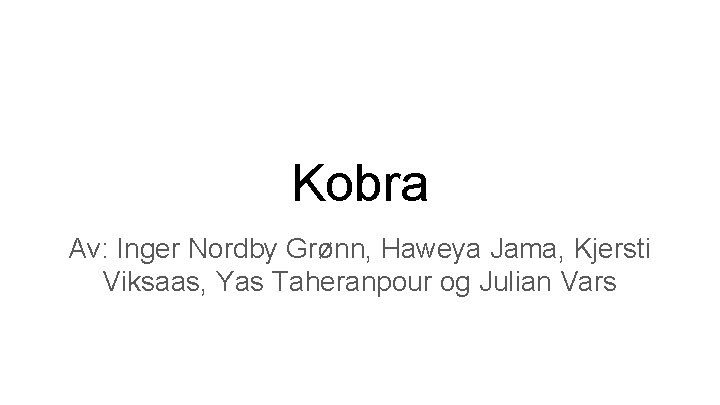 Kobra Av: Inger Nordby Grønn, Haweya Jama, Kjersti Viksaas, Yas Taheranpour og Julian Vars