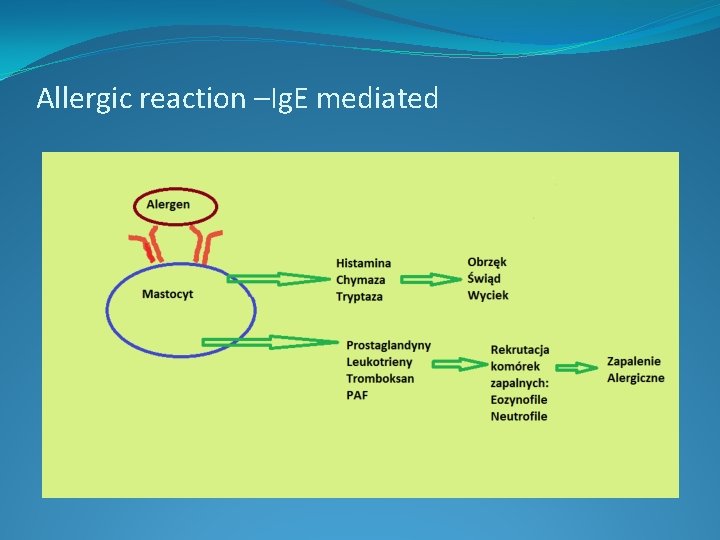 Allergic reaction –Ig. E mediated 