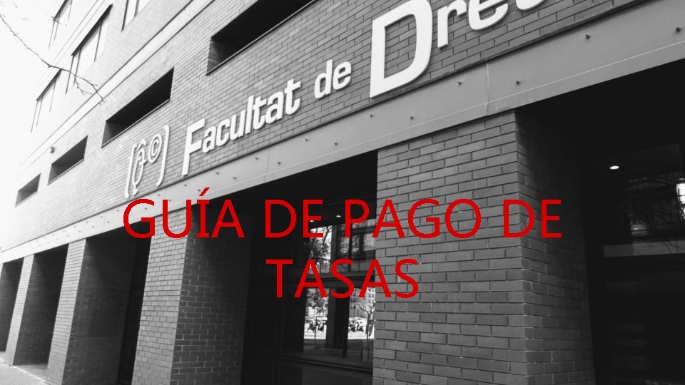 GUÍA DE PAGO DE TASAS 