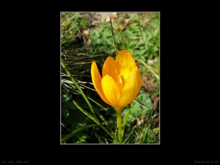 22 - IMG_7963. JPG 2008 -08 -16 10: 15 22 - IMG_7963. JPG 2008 -08 -16 10: 15