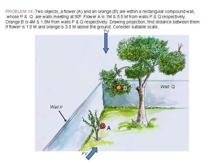 PROBLEM 14: -Two objects, a flower (A) and an orange (B) are within a