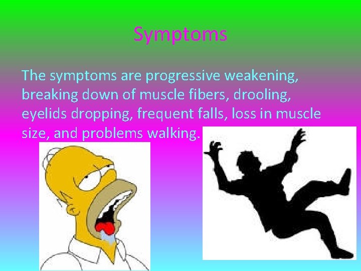 Symptoms The symptoms are progressive weakening, breaking down of muscle fibers, drooling, eyelids dropping,