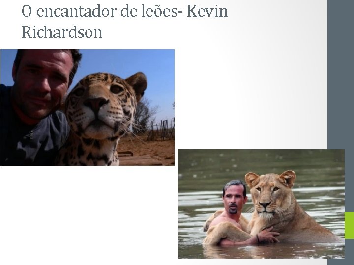 O encantador de leões- Kevin Richardson 
