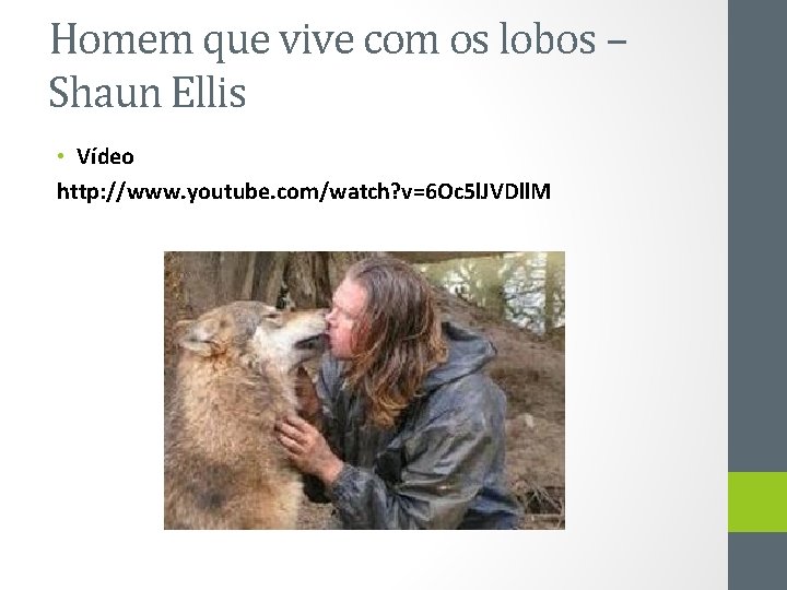 Homem que vive com os lobos – Shaun Ellis • Vídeo http: //www. youtube.