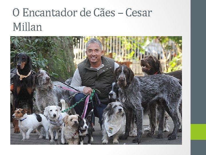 O Encantador de Cães – Cesar Millan 