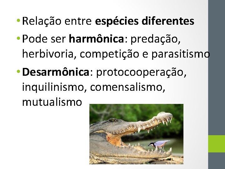  • Relação entre espécies diferentes • Pode ser harmônica: predação, herbivoria, competição e