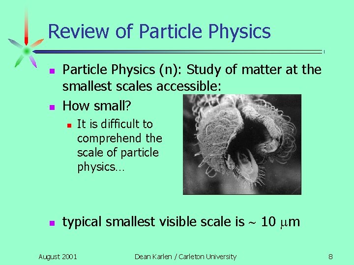 Review of Particle Physics n n Particle Physics (n): Study of matter at the