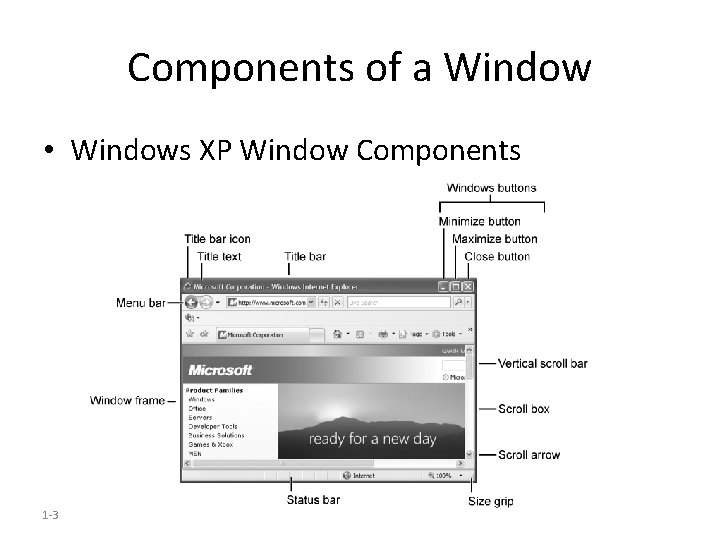 Components of a Window • Windows XP Window Components 1 -3 