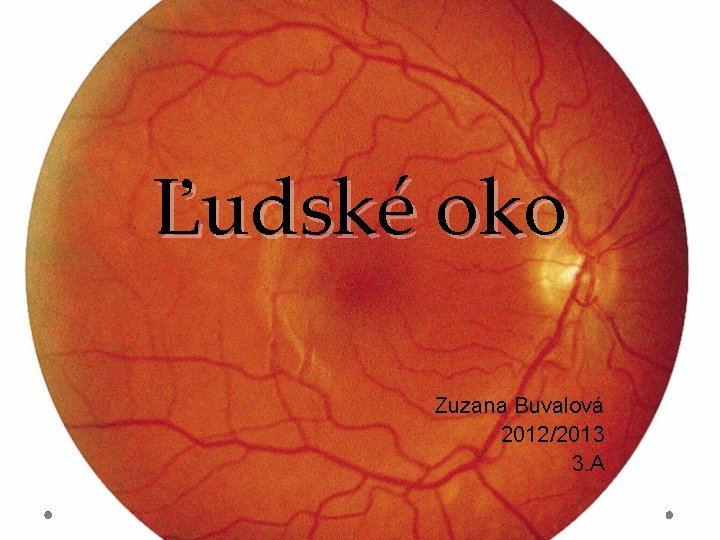 Ľudské oko Zuzana Buvalová 2012/2013 3. A 