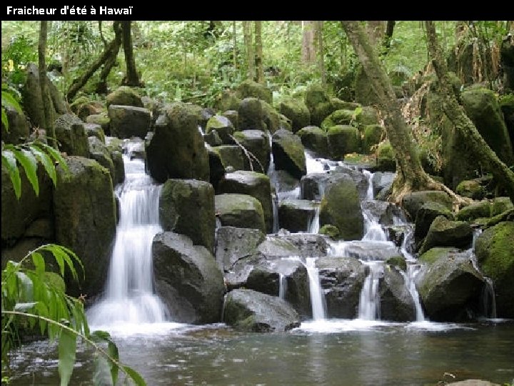 Fraicheur d'été à Hawaï 