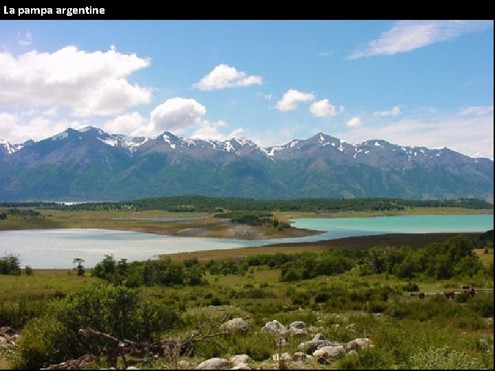 La pampa argentine 