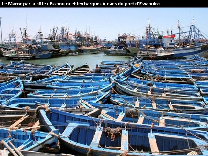 Le Maroc par la côte : Essaouira et les barques bleues du port d'Essaouira