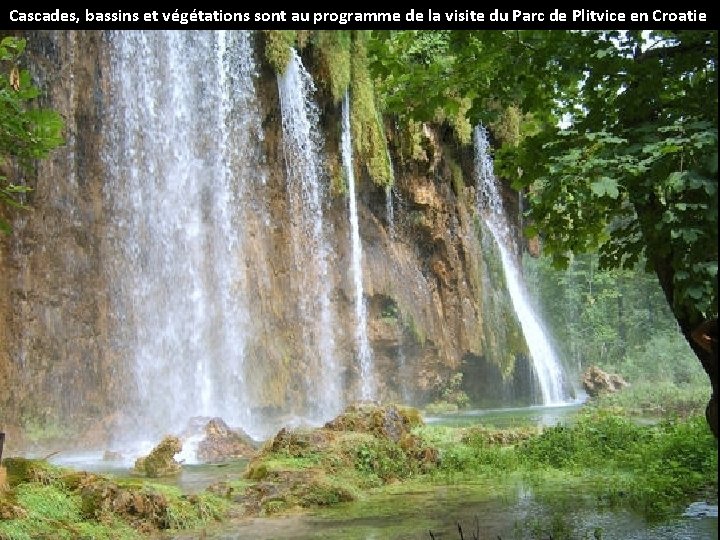 Cascades, bassins et végétations sont au programme de la visite du Parc de Plitvice