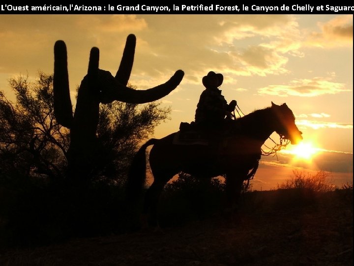 L'Ouest américain, l'Arizona : le Grand Canyon, la Petrified Forest, le Canyon de Chelly