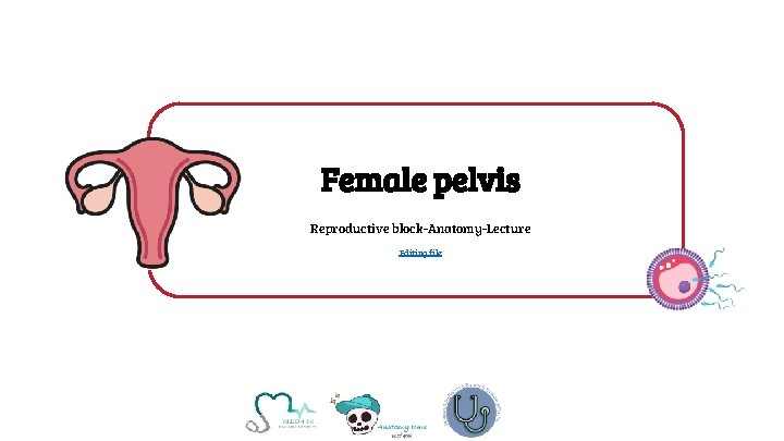 Female pelvis Reproductive block-Anatomy-Lecture Editing file 