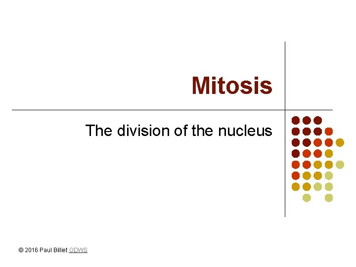 Mitosis The division of the nucleus © 2016 Paul Billiet ODWS 