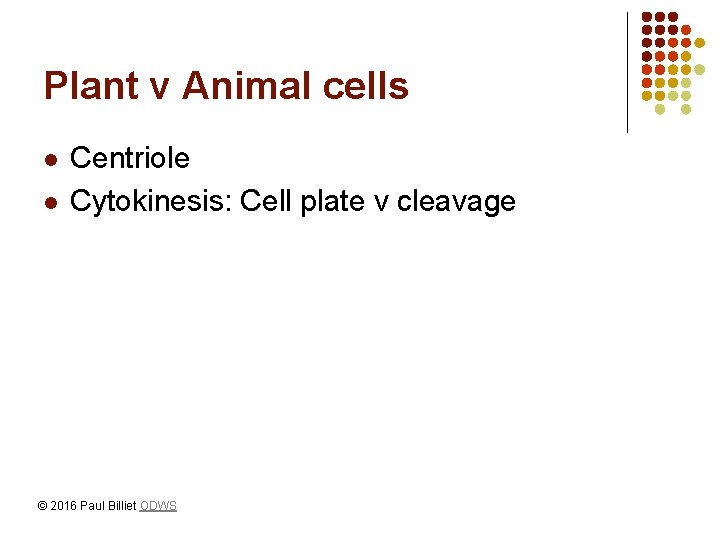 Plant v Animal cells l l Centriole Cytokinesis: Cell plate v cleavage © 2016