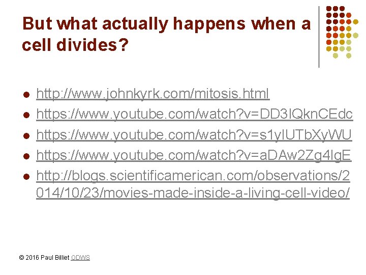 But what actually happens when a cell divides? l l l http: //www. johnkyrk.