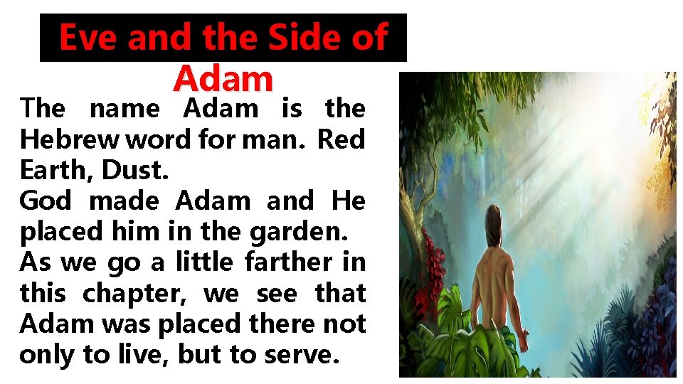 Eve and the Side of Adam The name Adam is the Hebrew word for