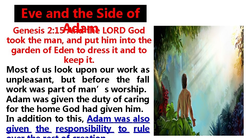 Eve and the Side of Genesis 2: 15 Adam And the LORD God took