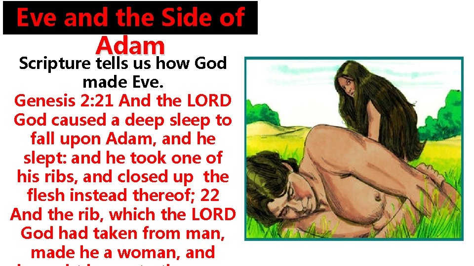 Eve and the Side of Adam Scripture tells us how God made Eve. Genesis