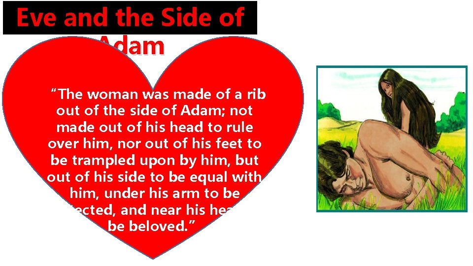 Eve and the Side of Adam “The woman was made of a rib out