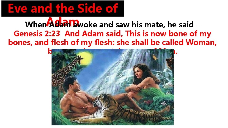 Eve and the Side of When. Adam awoke and saw his mate, he said