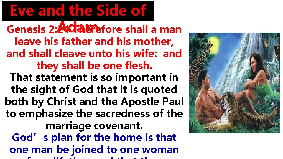 Eve and the Side of Adam Genesis 2: 24 Therefore shall a man leave