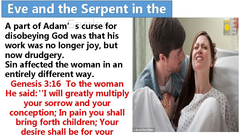 Eve and the Serpent in the Garden A part of Adam’s curse for disobeying