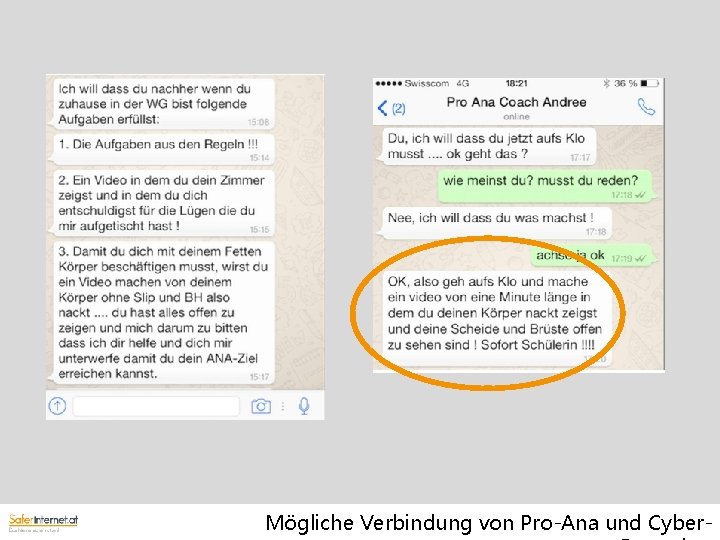 Mögliche Verbindung von Pro-Ana und Cyber- 