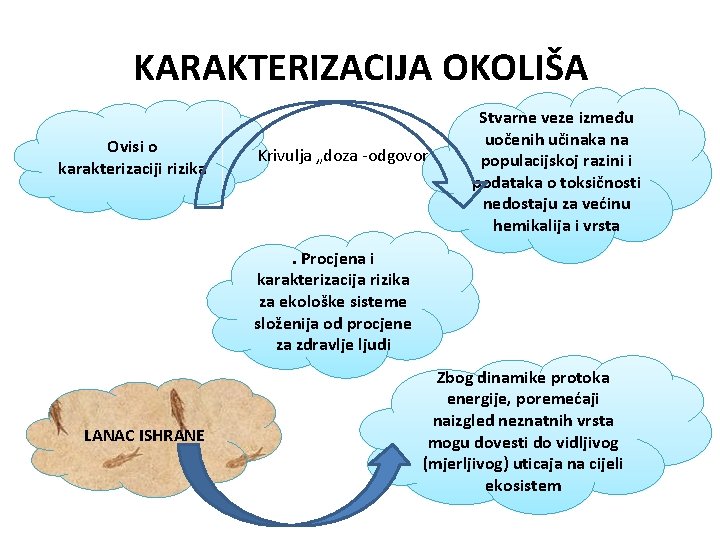 KARAKTERIZACIJA OKOLIŠA Ovisi o karakterizaciji rizika Krivulja „doza -odgovor Stvarne veze između uočenih učinaka