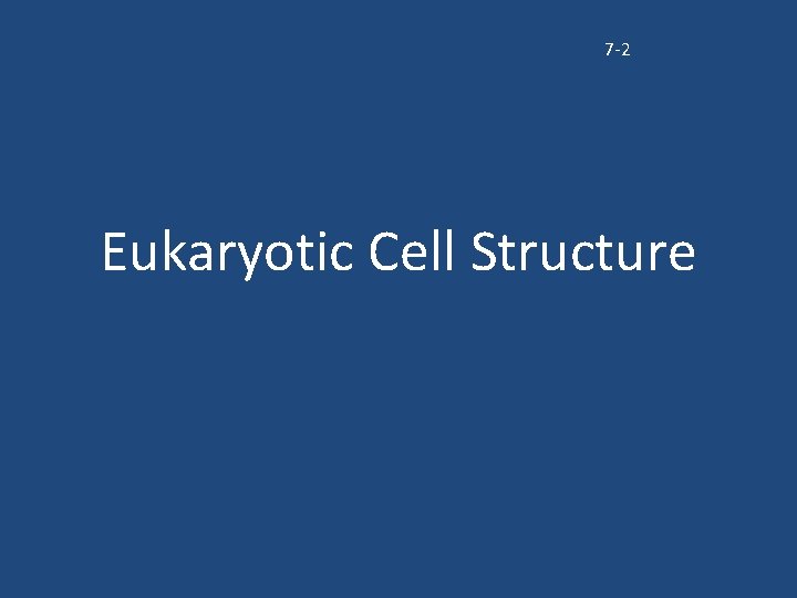 7 -2 Eukaryotic Cell Structure 7 -2 Eukaryotic Cell Structure