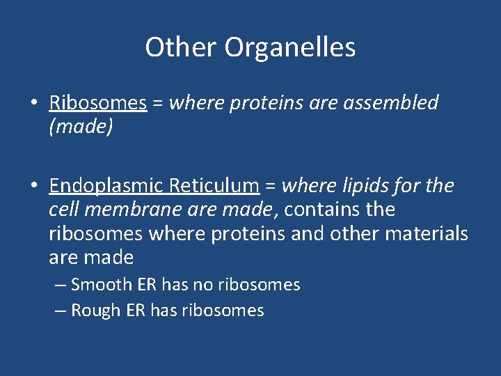 Other Organelles • Ribosomes = where proteins are assembled (made) • Endoplasmic Reticulum = Other Organelles • Ribosomes = where proteins are assembled (made) • Endoplasmic Reticulum =