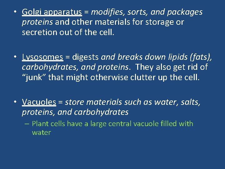 • Golgi apparatus = modifies, sorts, and packages proteins and other materials for • Golgi apparatus = modifies, sorts, and packages proteins and other materials for