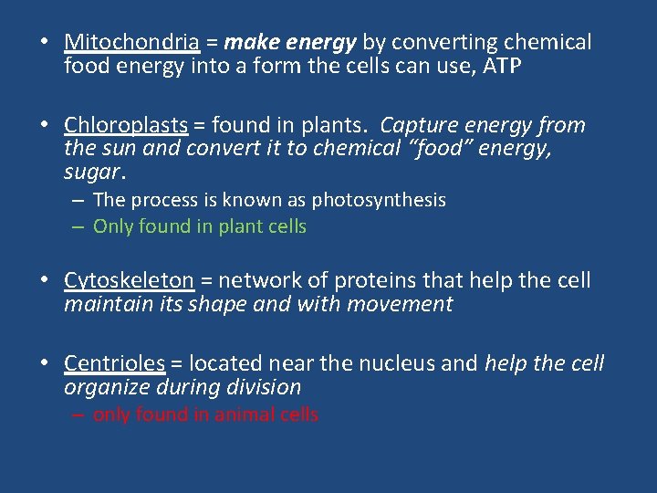 • Mitochondria = make energy by converting chemical food energy into a form • Mitochondria = make energy by converting chemical food energy into a form