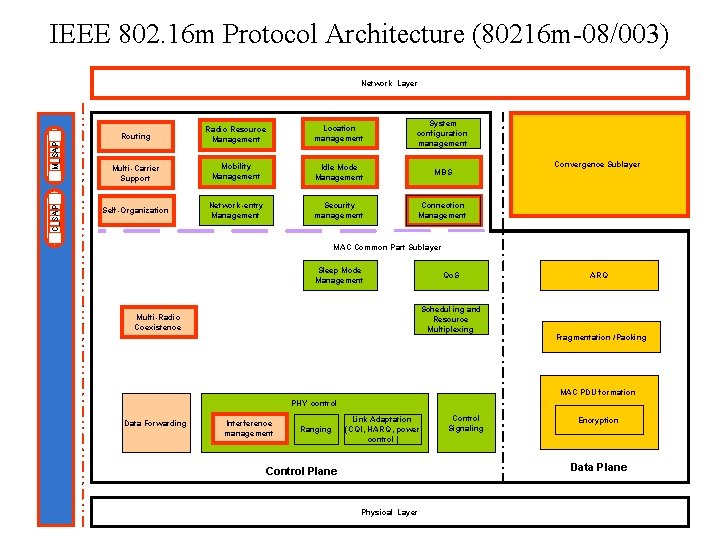 IEEE 802. 16 m Protocol Architecture (80216 m-08/003) C_SAP M_SAP Network Layer Routing Radio
