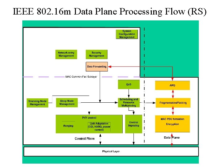IEEE 802. 16 m Data Plane Processing Flow (RS) 