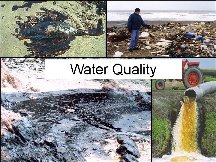 Water Quality 