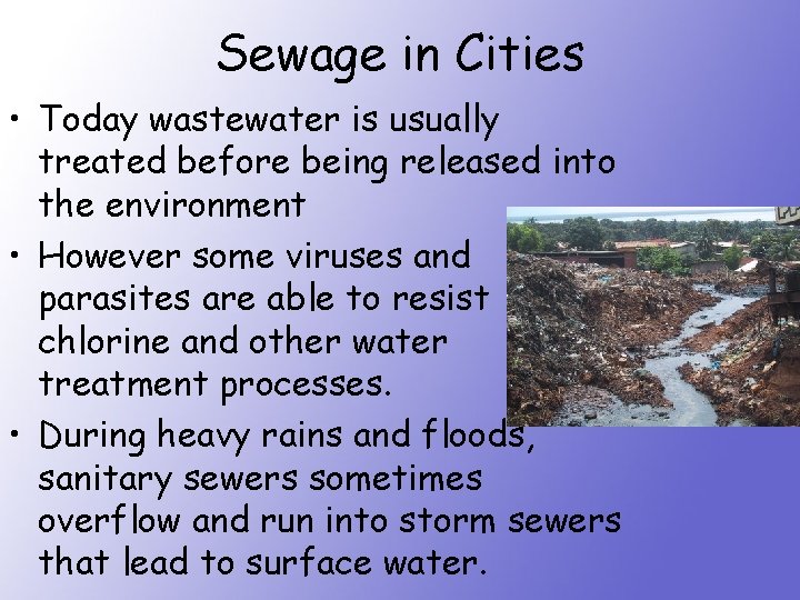 Sewage in Cities • Today wastewater is usually treated before being released into the