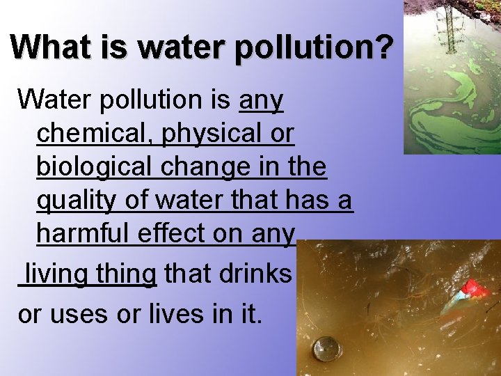What is water pollution? Water pollution is any chemical, physical or biological change in