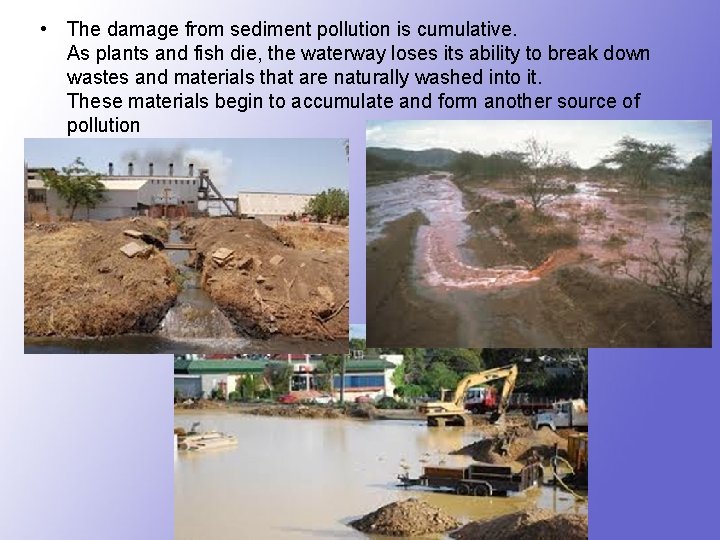  • The damage from sediment pollution is cumulative. As plants and fish die,