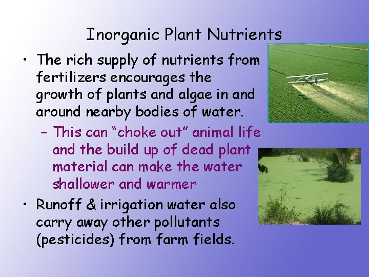 Inorganic Plant Nutrients • The rich supply of nutrients from fertilizers encourages the growth